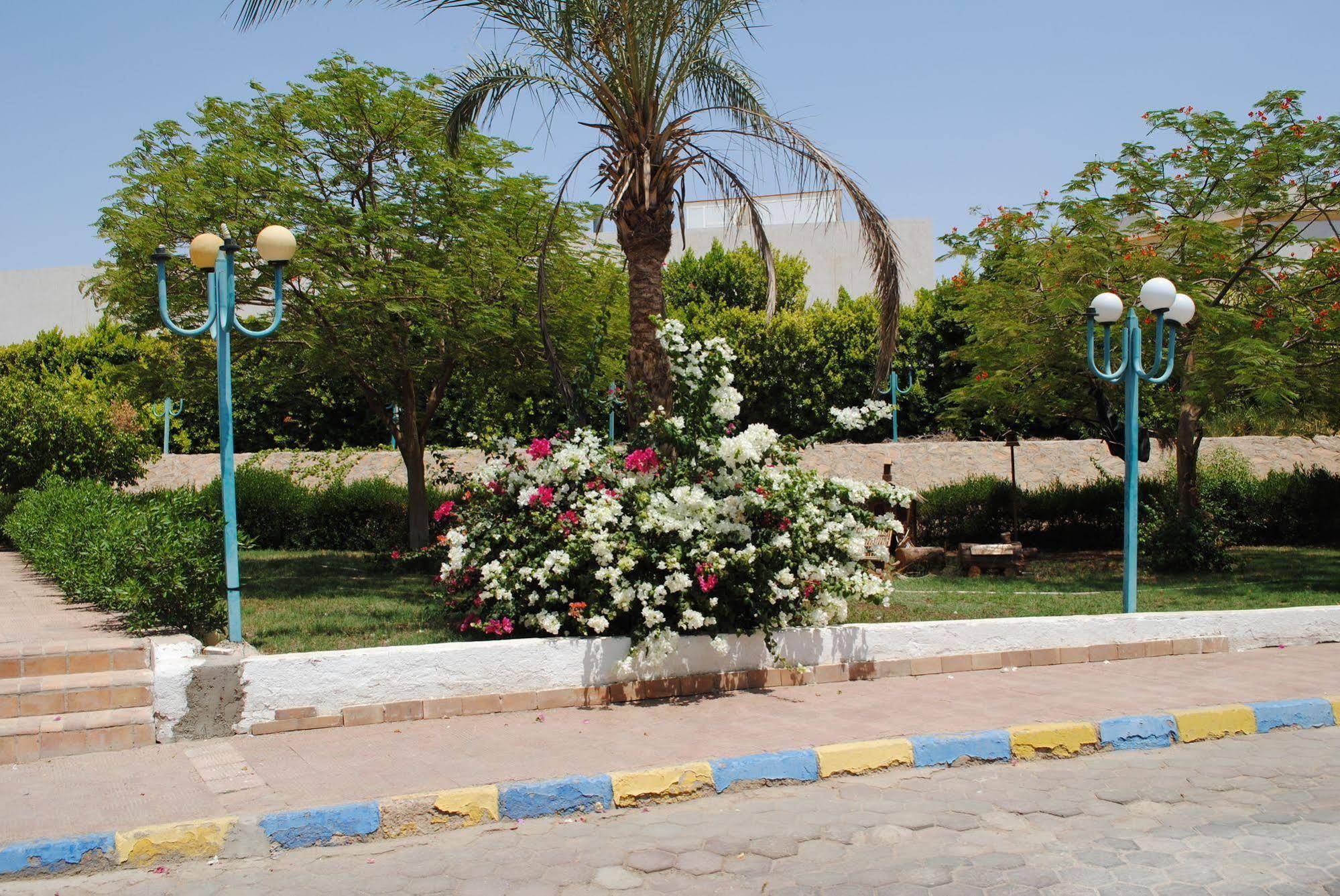 Sharm Cliff Resort Dış mekan fotoğraf